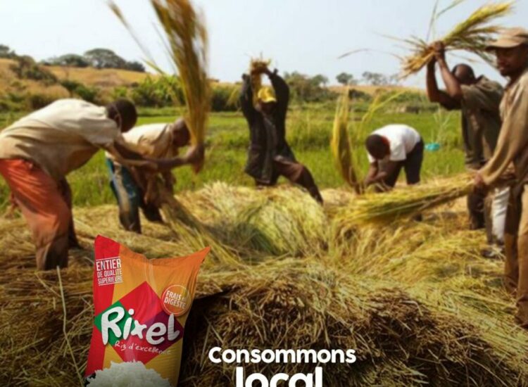 313289437_455174973424583_5059677751498558494_n-1024x1024 (1)